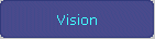 Vision